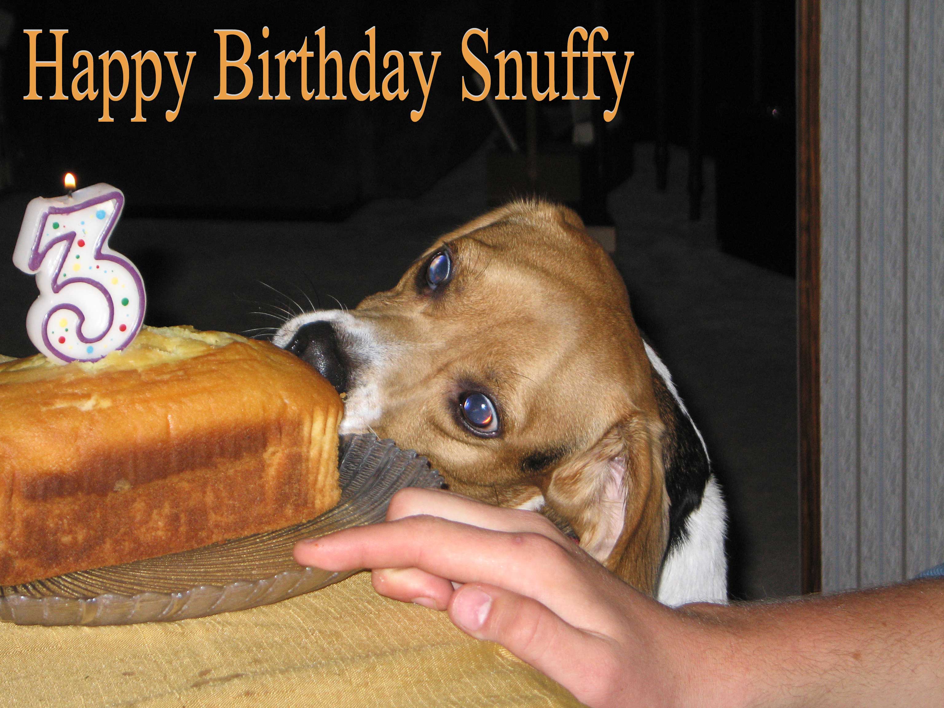 Snuffy's Birthday